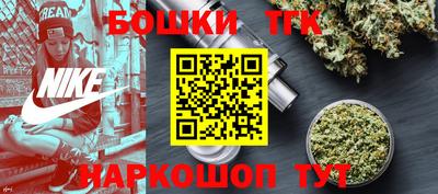 индика Будённовск