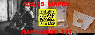индика Будённовск