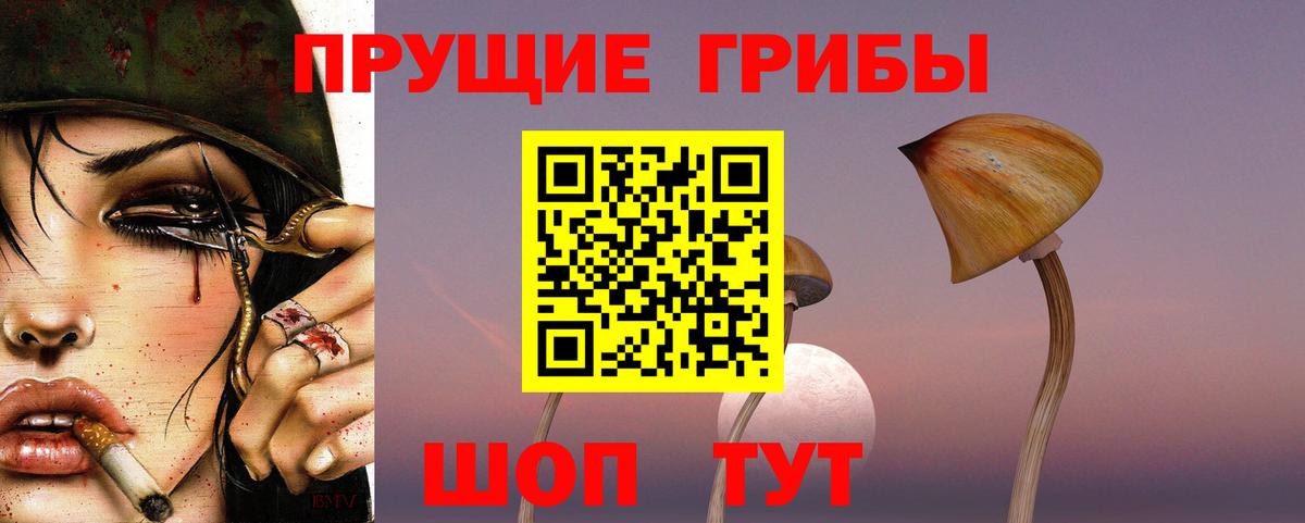 Псилоцибиновые грибы GOLDEN TEACHER  Вход с VPN  Псилоцибиновые грибы мицелий  Ялуторовск 