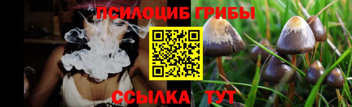Псилоцибиновые грибы мицелий Ялуторовск